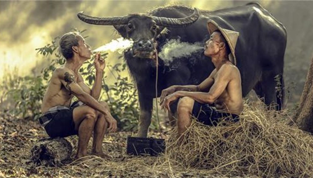 photo